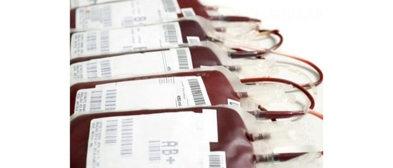 Quanto Sangue C'è nel Corpo Umano e la Sua Importanza